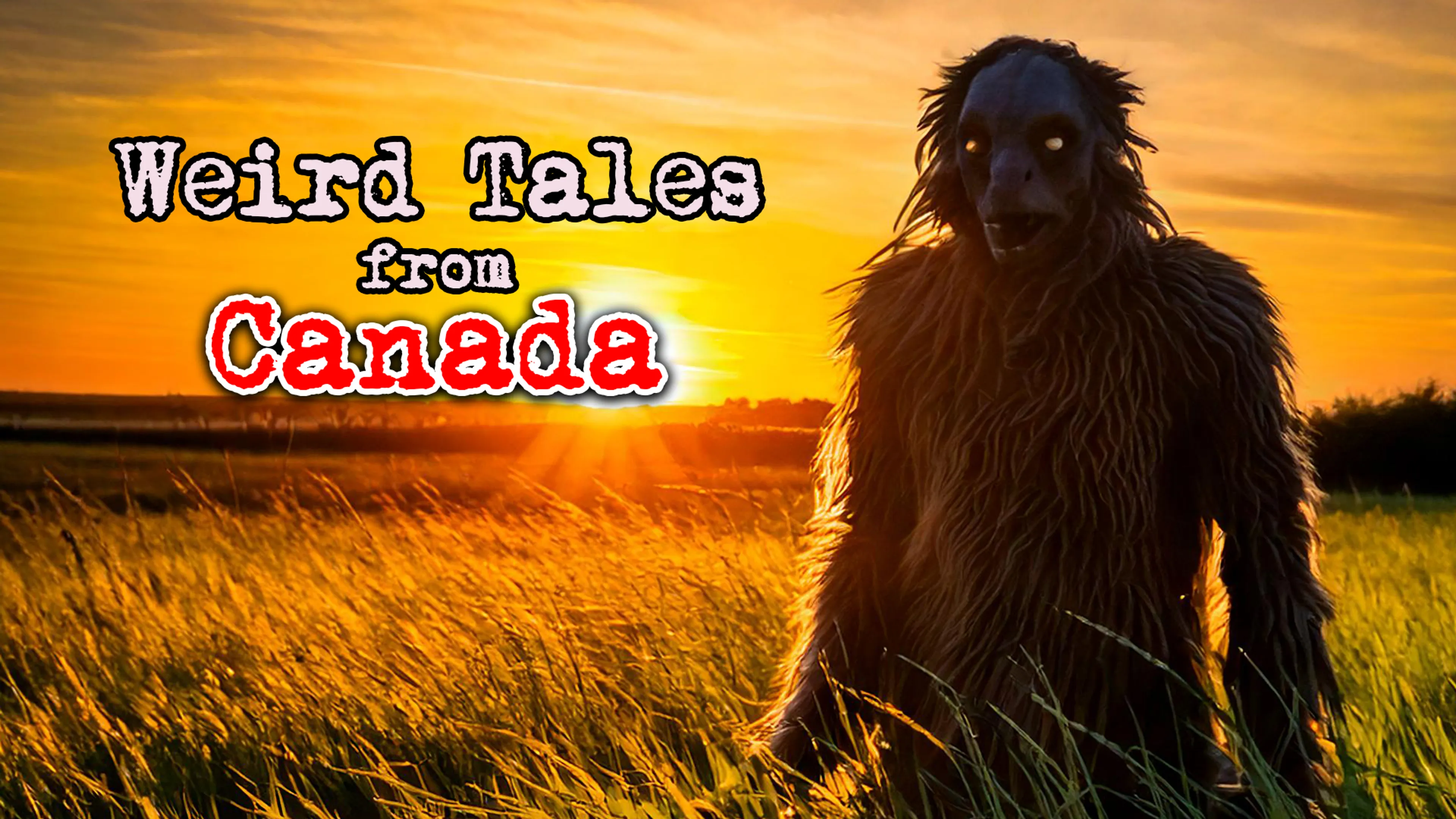 Weird Tales from Canada poster